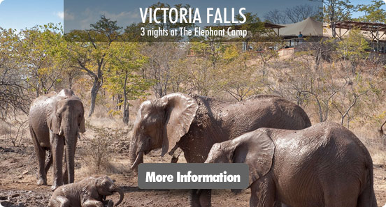 Victoria Falls